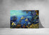 original painting great barrier reef angel fish wall art print